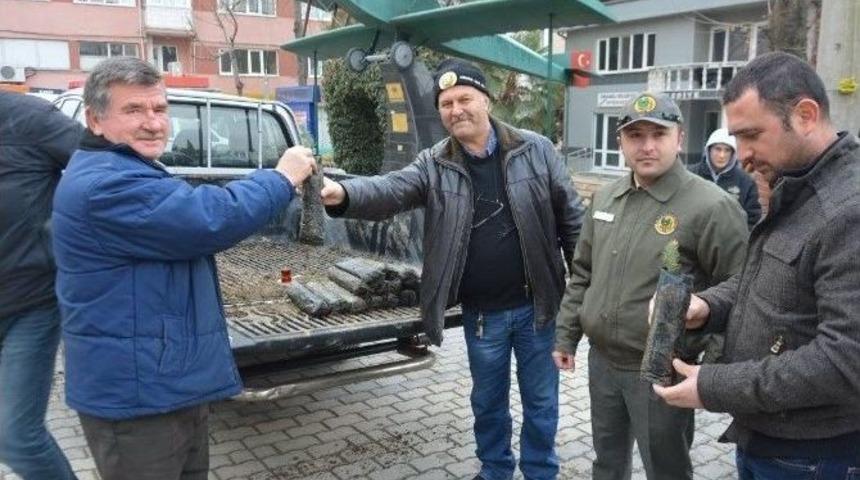 Orman İşletmesi&rsquo;nden Vatandaşlara Yeni Yıl Fidanı