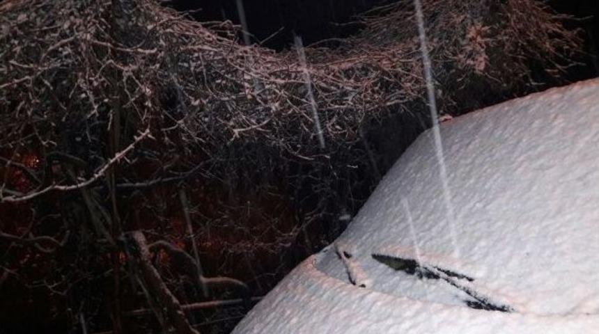 Aydın’da Köy Yolları Ulaşıma Kapandı