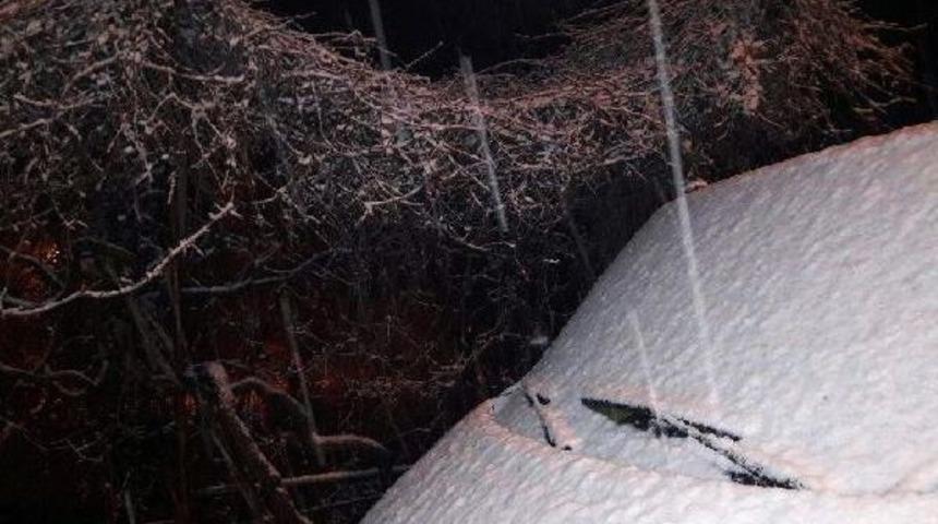 Aydın'da Bazı Il&ccedil;elerin Yolları Kardan Kapandı
