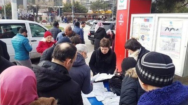 Çerkezköy Ve Çorlu’da Adaçayı Dağıtıldı