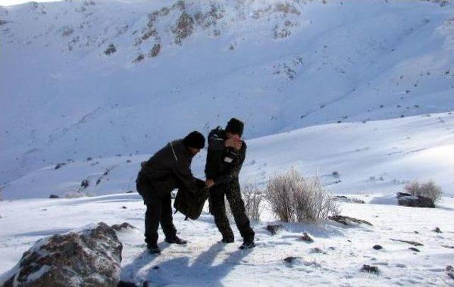 Yaban Hayvanları Için Doğaya Yem Bırakıldı