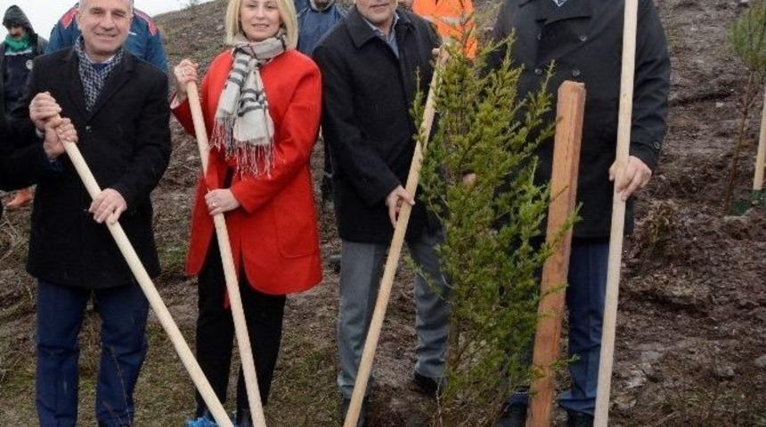 K&ouml;rfez&rsquo;de 3 Bin Fidan Toprakla Buluştu