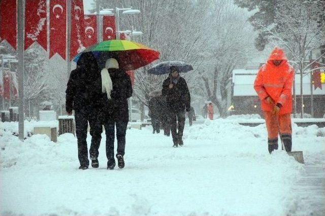 Bolu Kent Merkezinde Kar Esareti