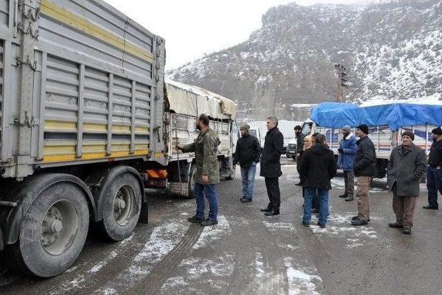 Gümüşhane’de Genç Çiftçilere Hayvanları Teslim Edildi