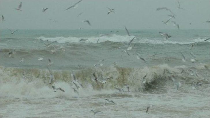 Dev Dalgalar Akçakoca Kıyılarını Dövdü G4