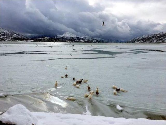 Isparta'da Kar Yaşamı Olumsuz Etkiliyor