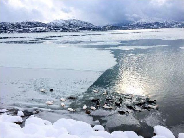 Isparta'da Kar Yaşamı Olumsuz Etkiliyor