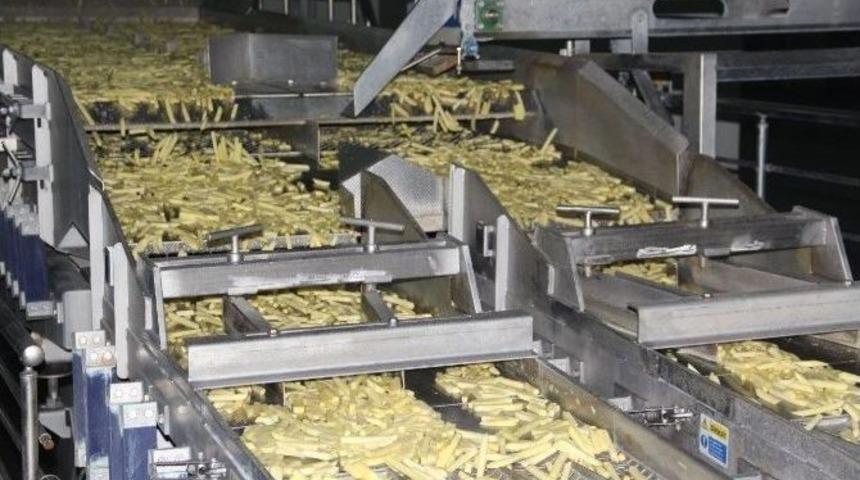 Konya Şeker, Patates &Uuml;reticisinin Y&uuml;z&uuml;n&uuml; G&uuml;ld&uuml;rd&uuml;