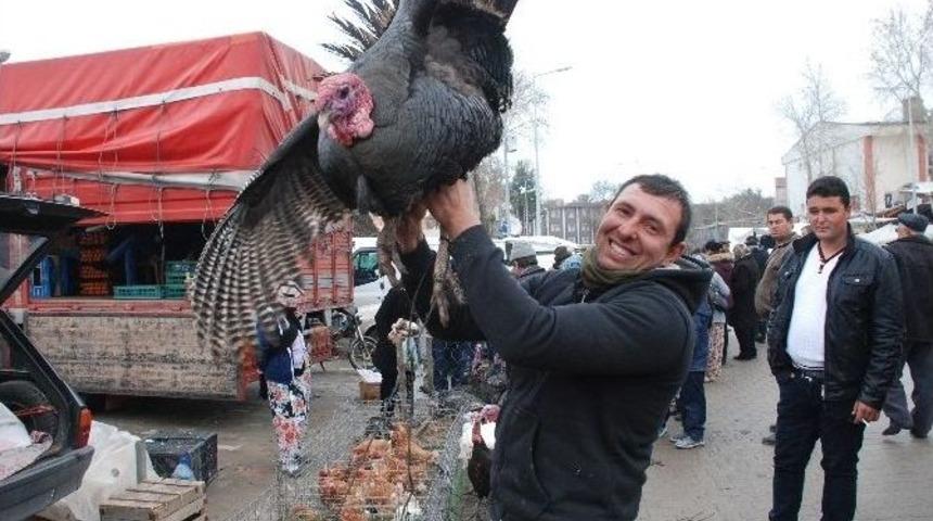 Yılbaşı Hindileri G&ouml;r&uuml;c&uuml;ye &Ccedil;ıktı