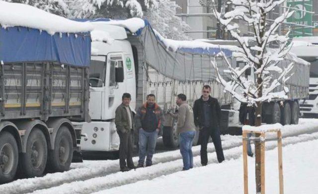 Kar, Hem Eğlence Hem De Çile Oldu