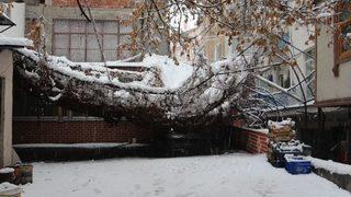 Çankırı’da Kar Yağışı Sevindirdi