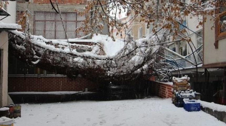 Çankırı’da Kar Yağışı Sevindirdi