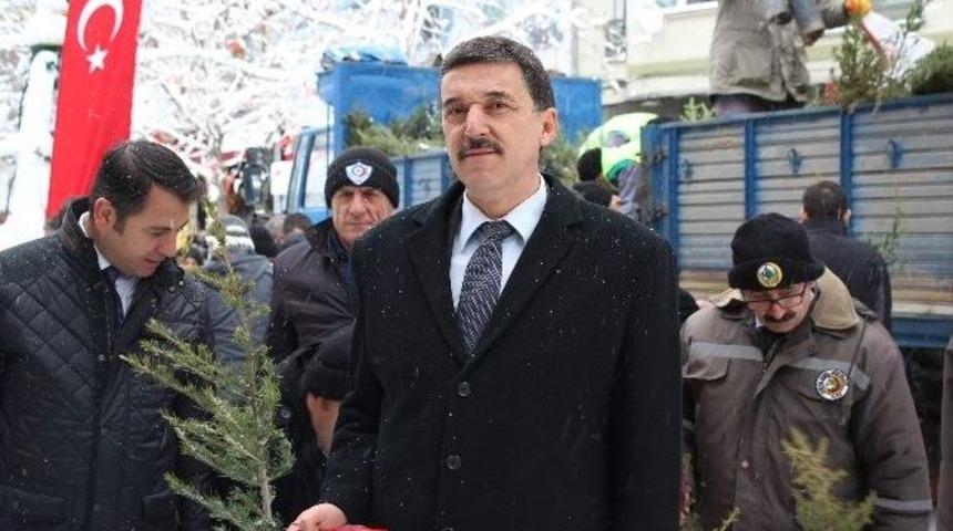 Yeni Yıla Girerken Başlatılan "ağa&ccedil; Kesme Fidan Dik" Kampanyası S&uuml;r&uuml;yor