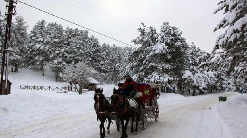 Donan Abant G&ouml;l&uuml; Karla Kaplandı