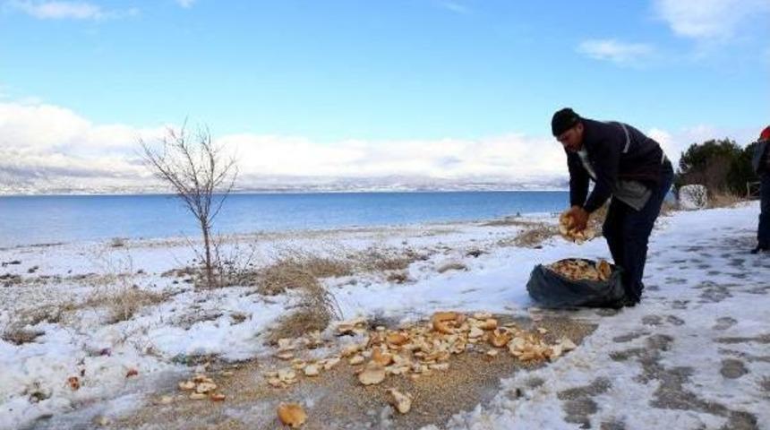 &nbsp;Burdur'da Kar Yağışı (2)
