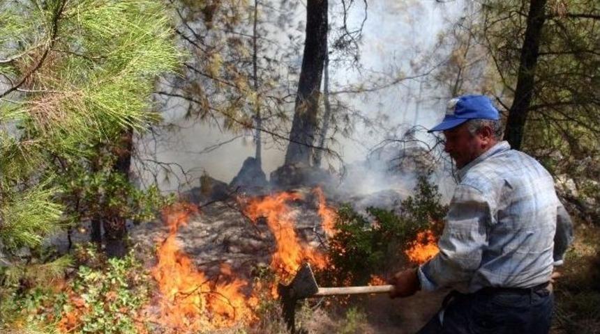 Doğu Karla, Muğla Yangınla M&uuml;cadele Ediyor
