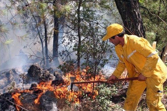 Doğu Karla, Muğla Yangınla M&uuml;cadele Ediyor 1