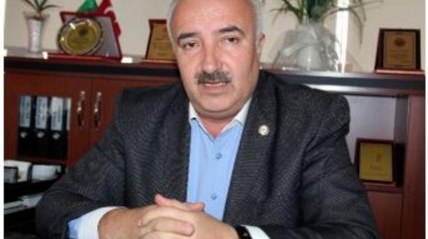 2016 Fındığın Kara Yılı