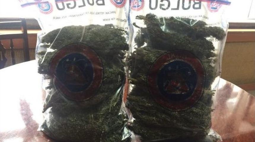 &Uuml;zerinde Esrar Yakalanan Şahıs Tutuklandı