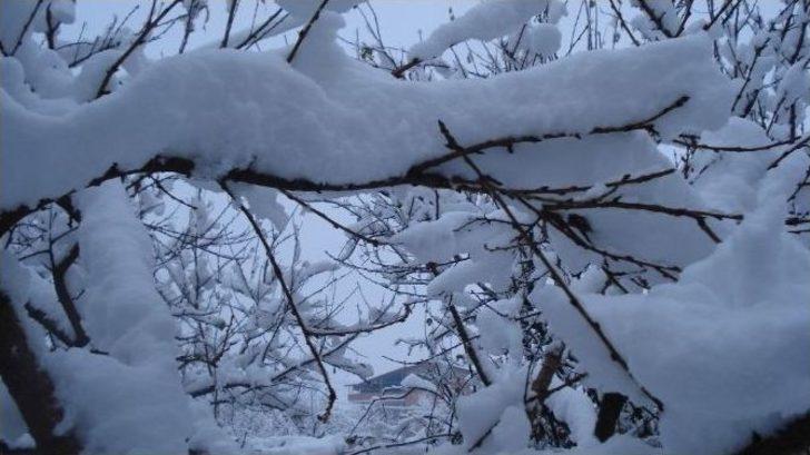 Manisa Sarıgöl’de Okullara Kar Tatili G3