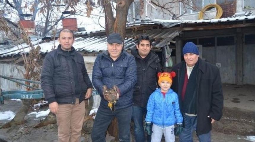 Yolda Bulduğu Yaralı Kartalı Tedavi Ettirdi