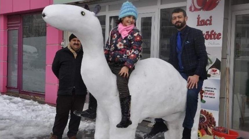 Kardan Deveye B&uuml;y&uuml;k İlgi