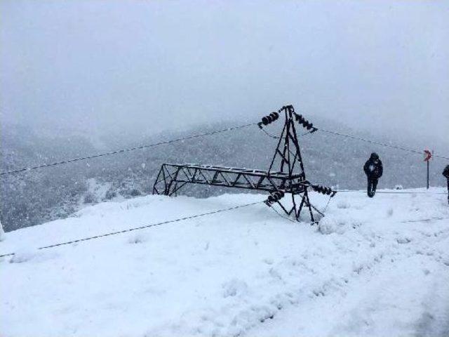 Elektrik Arıza Ekiplerinin Karla Mücadelesi