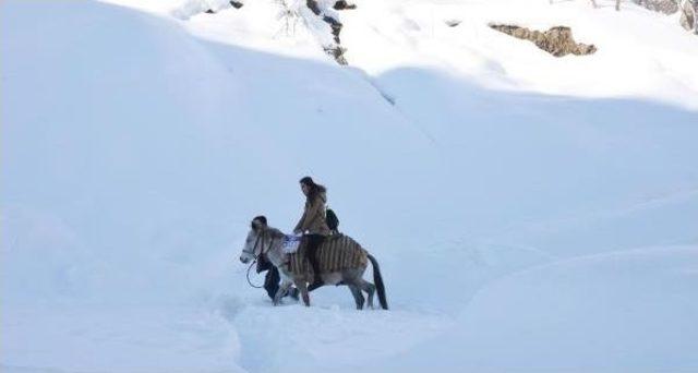 Duygu Öğretmene 4X4 Katır Servisi