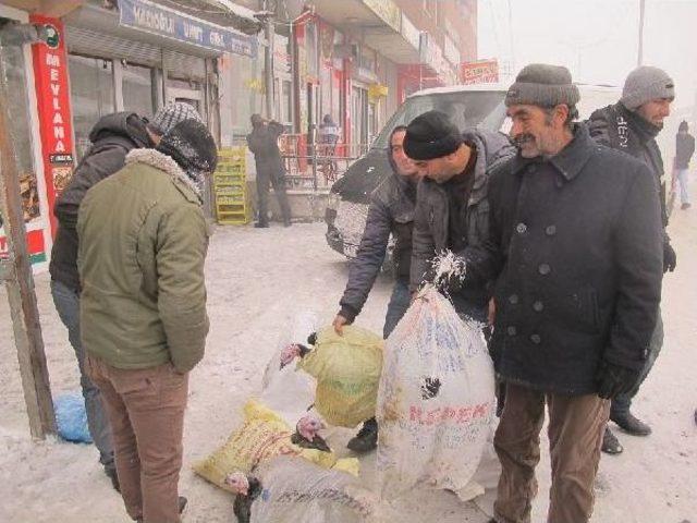 Sıfırın Altında 20 Derece Soğukta Hindi Satışı