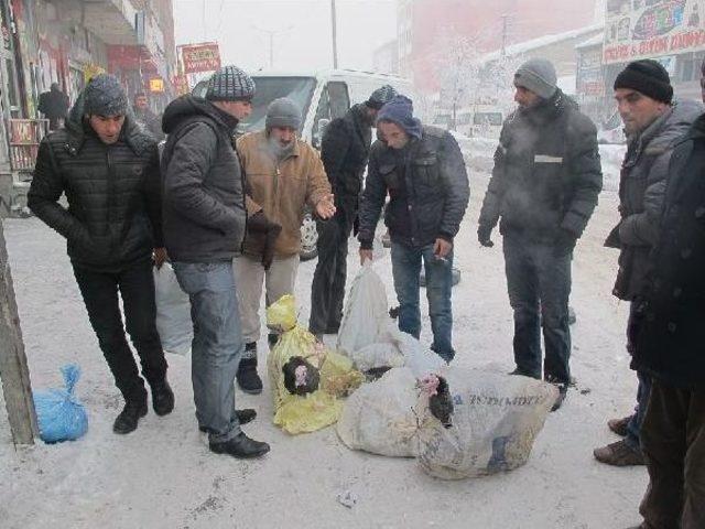 Sıfırın Altında 20 Derece Soğukta Hindi Satışı