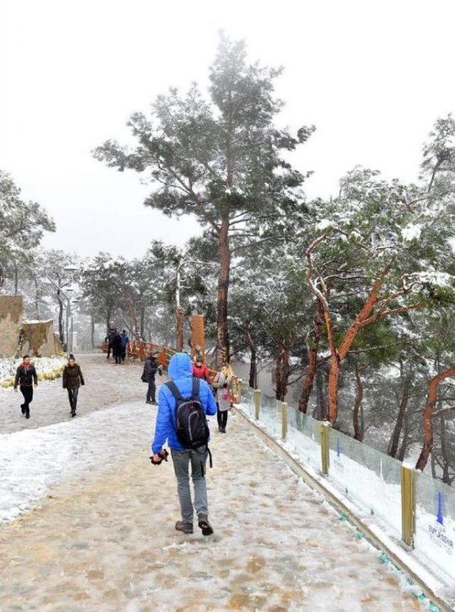 Teleferikle Kar Manzarası Izlemeye Çıktılar