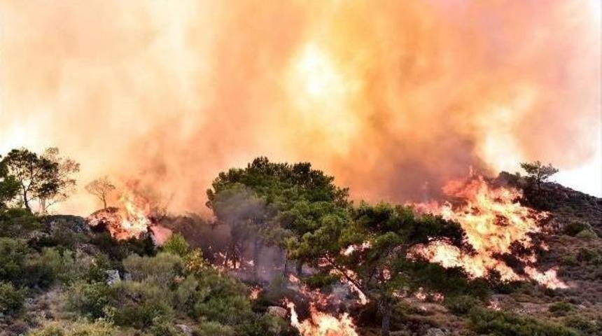 Muğla'da Kışın Da Orman Yangınlarıyla M&uuml;cadele S&uuml;r&uuml;yor
