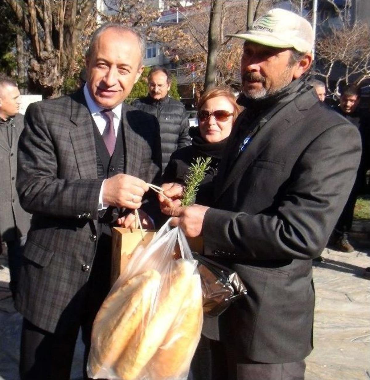 Ormandan &lsquo;kesme, Dik&rsquo; Kampanyası