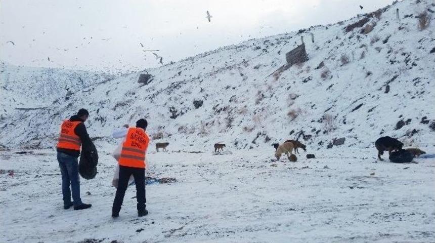 B&uuml;y&uuml;kşehir Belediyesi Sokak Hayvanları İ&ccedil;in Yem Dağıttı