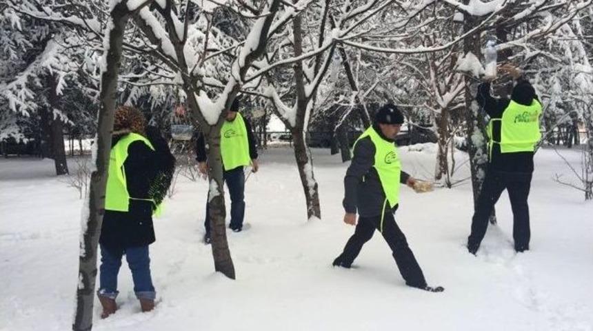 Keçiören Belediyesi Gönüllü Akademisi Sokak Hayvanlarını Unutmadı