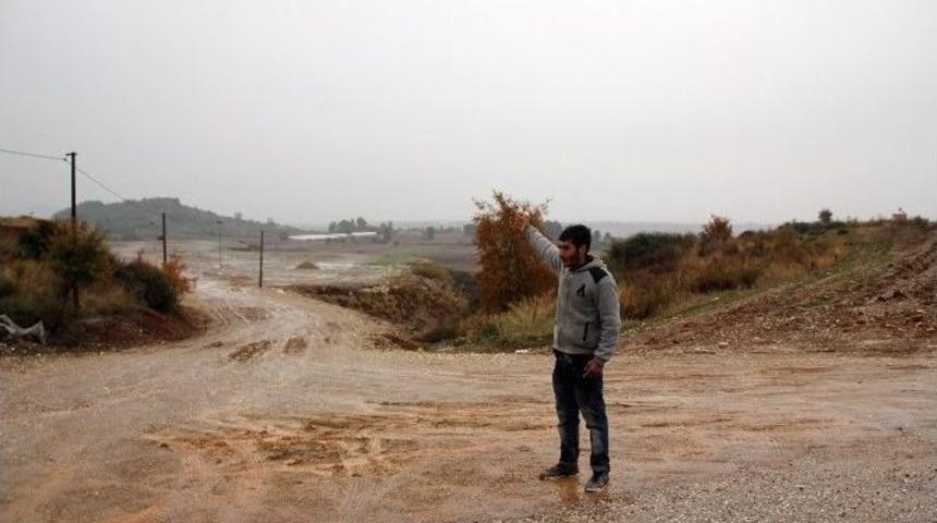 Serik Canlı Hayvan Pazarı Karantinaya Alındı