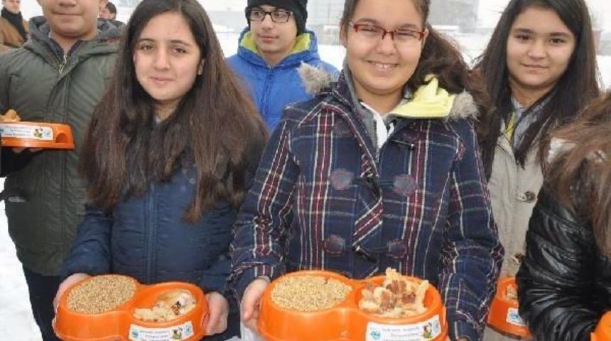 Iğdır Valisi, Kuşlar I&ccedil;in Doğaya Yem Bıraktı