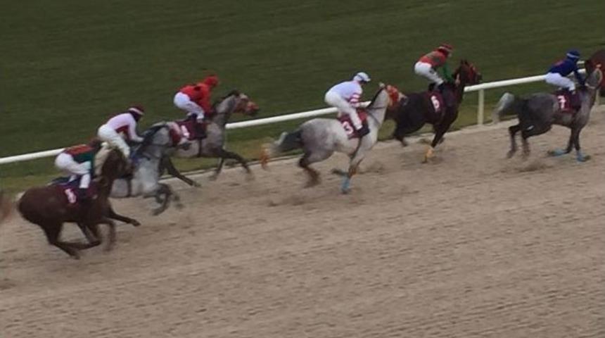 İzmir&rsquo;de Atlar Milas İ&ccedil;in Koştu