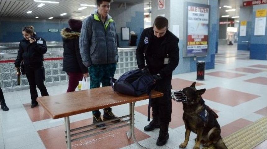 Metroda K-9 K&ouml;pekleriyle G&uuml;venlik