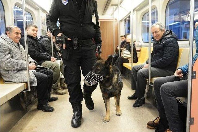 Metroda K-9 Köpekleriyle Güvenlik