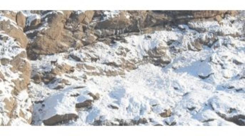 Hakkari&rsquo;de Dağ Ke&ccedil;ileri G&ouml;r&uuml;nt&uuml;lendi