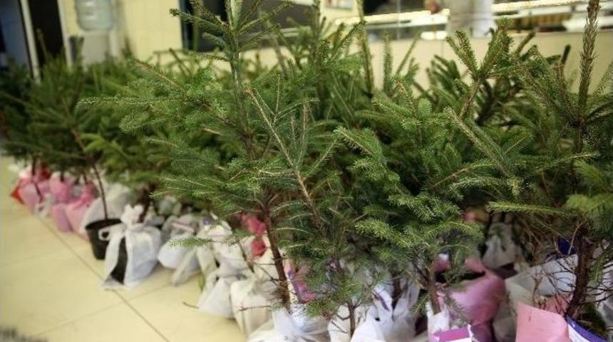 Ordulu Esnaftan &ldquo;yılbaşında Ağa&ccedil; Kesme Fidan Dik&rdquo; Kampanyası