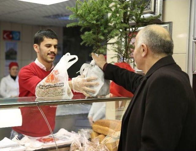 Ordulu Esnaftan “yılbaşında Ağaç Kesme Fidan Dik” Kampanyası