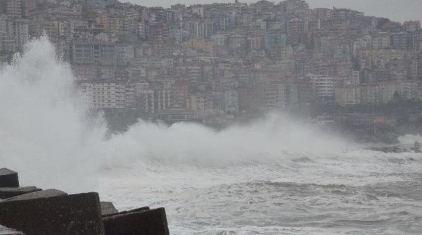 Karadeniz Coştu, Liman &Ccedil;&ouml;ple Doldu