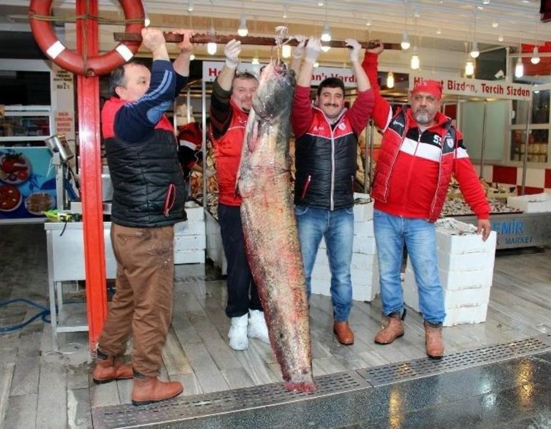 Balık&ccedil;ılardan 3 B&uuml;y&uuml;k Av