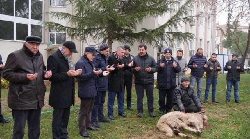 B&uuml;y&uuml;k&ccedil;ekmece&rsquo;de Polisler İ&ccedil;in Kurban Kesildi