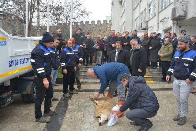 Sinop Belediyesine Araç Takviyesi