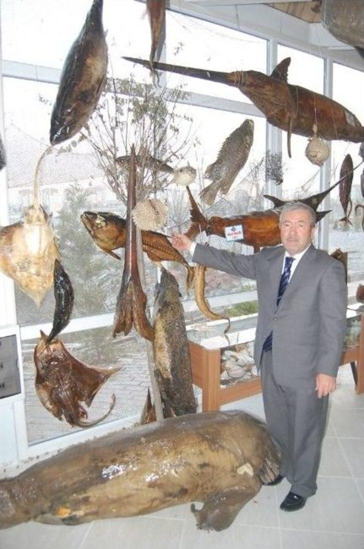 Yeni Yılda Yeni Mumyalar G1