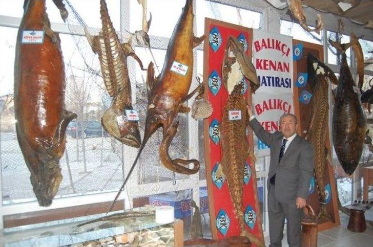 Yeni Yılda Yeni Mumyalar G2