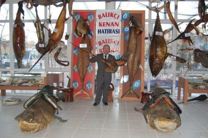 Yeni Yılda Yeni Mumyalar G3